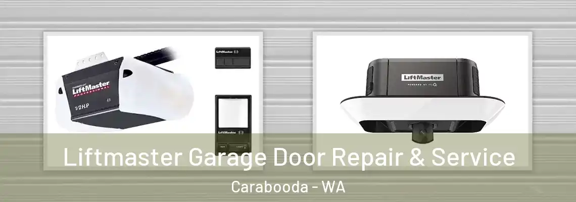 Liftmaster Garage Door Repair & Service Carabooda - WA