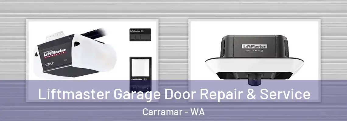 Liftmaster Garage Door Repair & Service Carramar - WA
