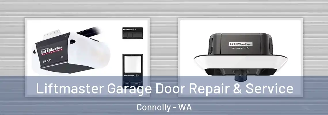 Liftmaster Garage Door Repair & Service Connolly - WA