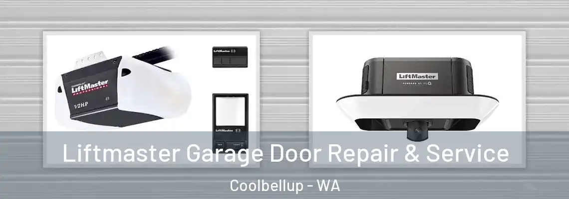 Liftmaster Garage Door Repair & Service Coolbellup - WA