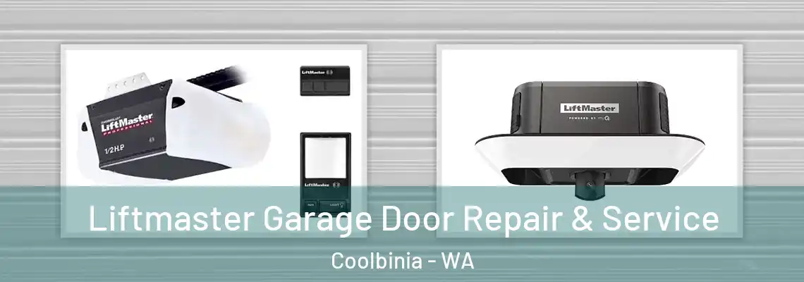 Liftmaster Garage Door Repair & Service Coolbinia - WA