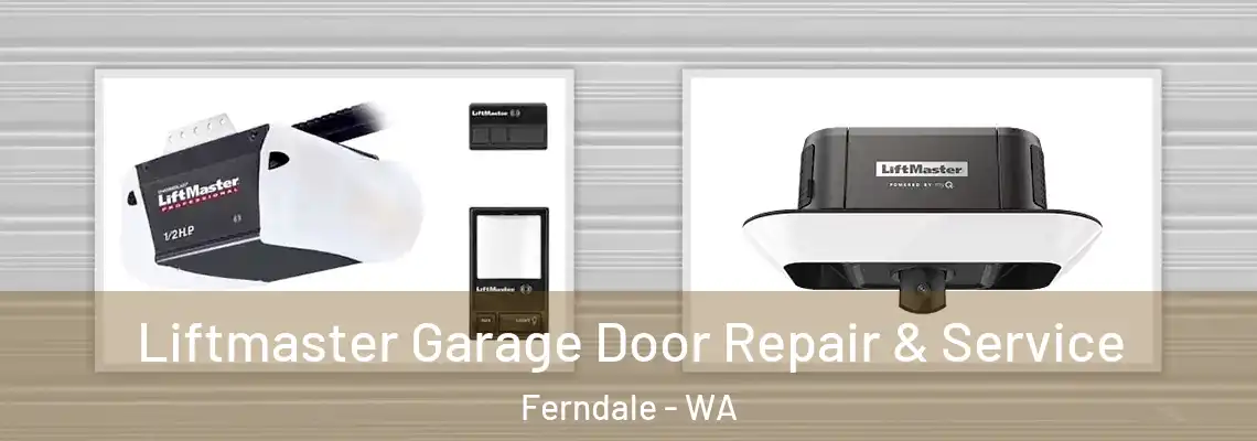 Liftmaster Garage Door Repair & Service Ferndale - WA