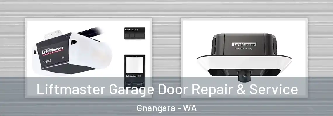  Liftmaster Garage Door Repair & Service Gnangara - WA