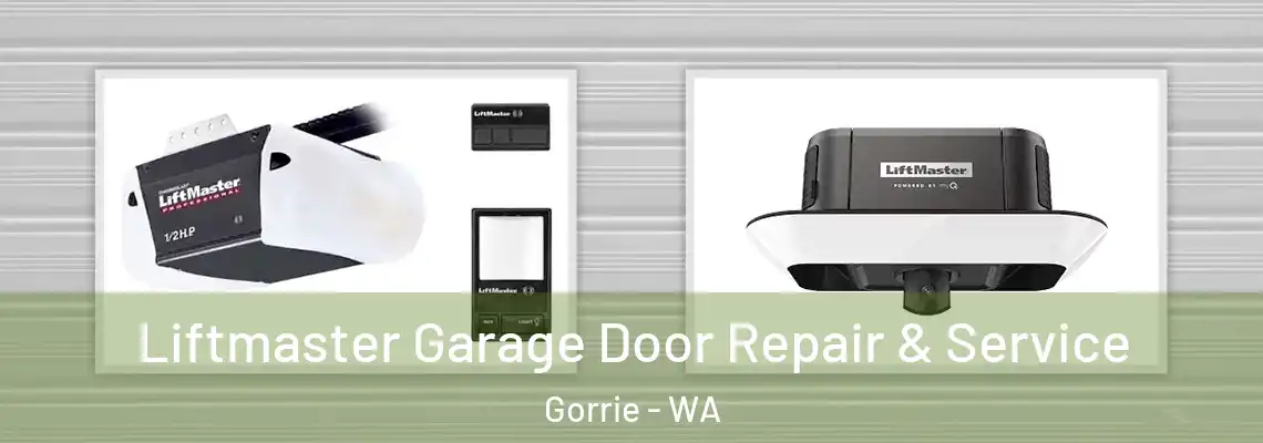 Liftmaster Garage Door Repair & Service Gorrie - WA