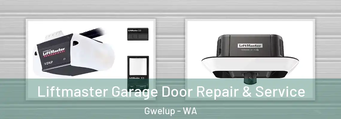 Liftmaster Garage Door Repair & Service Gwelup - WA