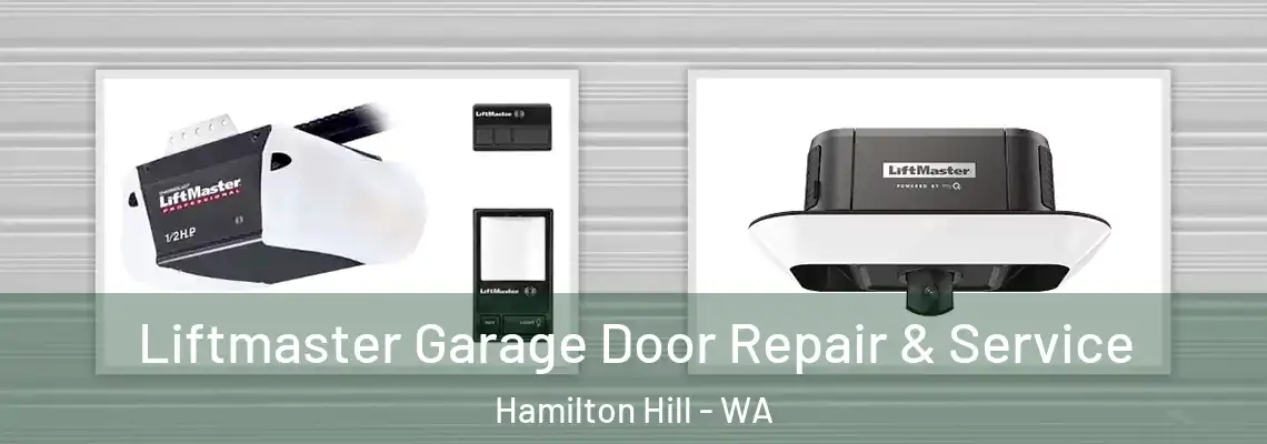 Liftmaster Garage Door Repair & Service Hamilton Hill - WA
