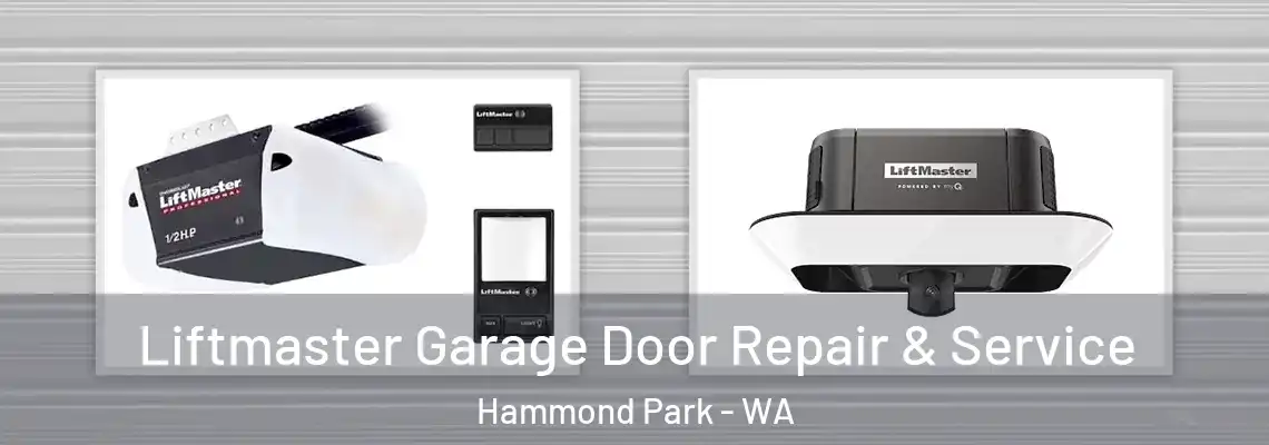 Liftmaster Garage Door Repair & Service Hammond Park - WA