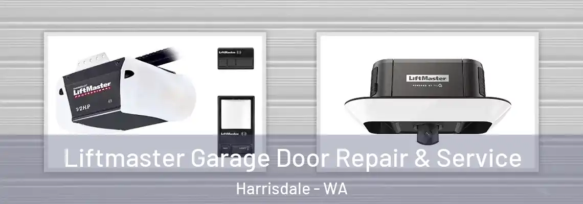 Liftmaster Garage Door Repair & Service Harrisdale - WA