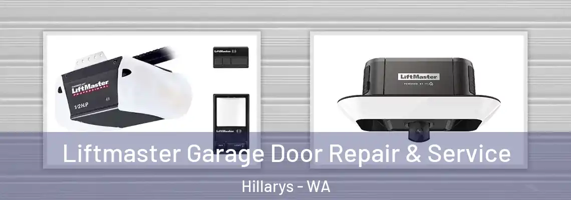 Liftmaster Garage Door Repair & Service Hillarys - WA