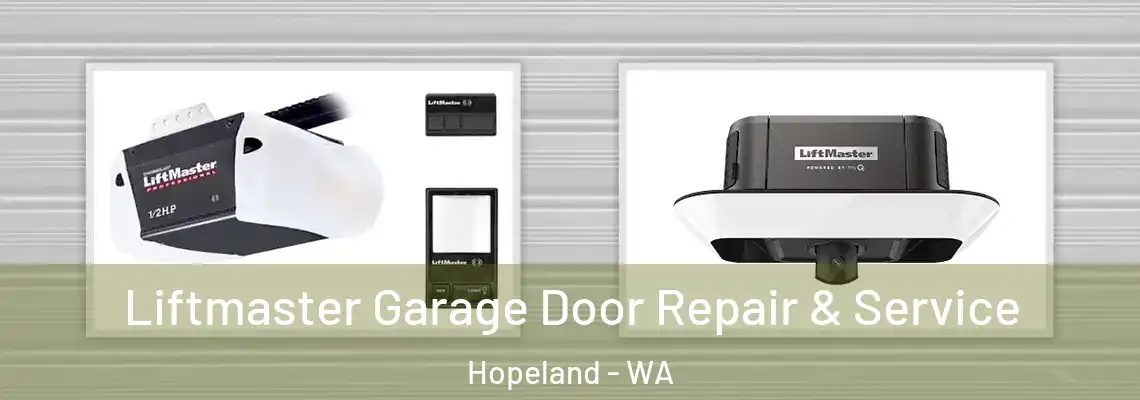 Liftmaster Garage Door Repair & Service Hopeland - WA