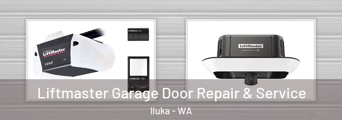 Liftmaster Garage Door Repair & Service Iluka - WA