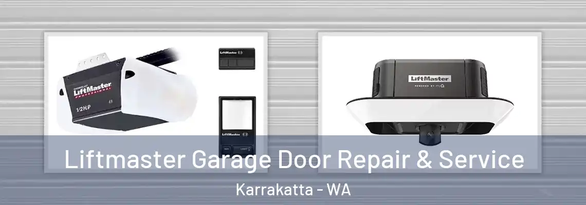 Liftmaster Garage Door Repair & Service Karrakatta - WA
