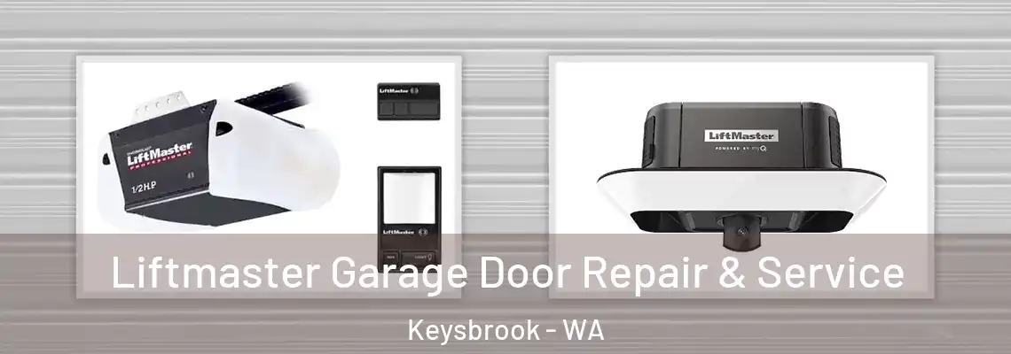 Liftmaster Garage Door Repair & Service Keysbrook - WA