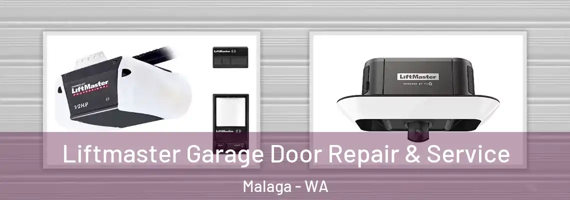 Liftmaster Garage Door Repair & Service Malaga - WA