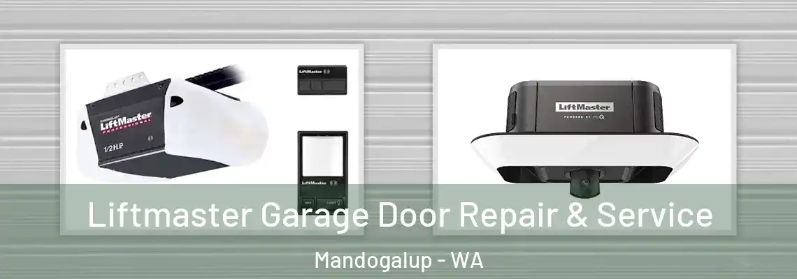 Liftmaster Garage Door Repair & Service Mandogalup - WA