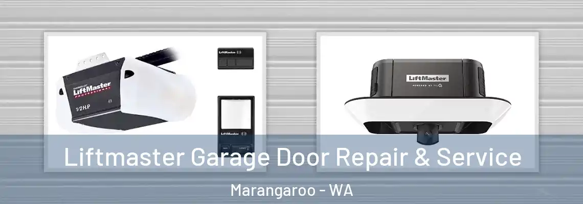 Liftmaster Garage Door Repair & Service Marangaroo - WA