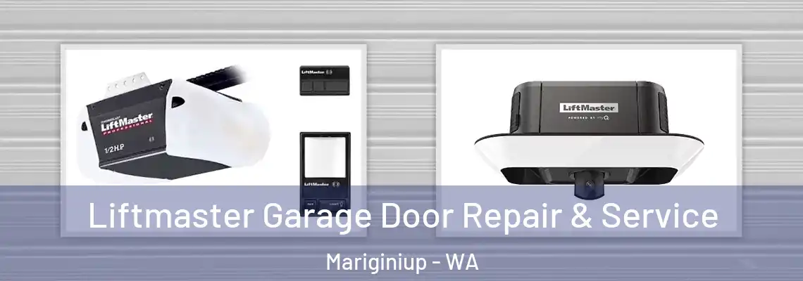 Liftmaster Garage Door Repair & Service Mariginiup - WA