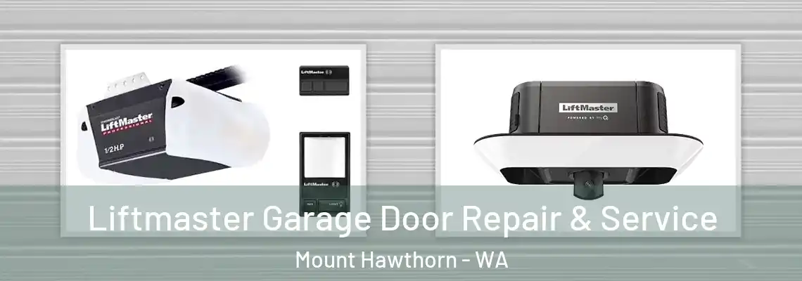 Liftmaster Garage Door Repair & Service Mount Hawthorn - WA