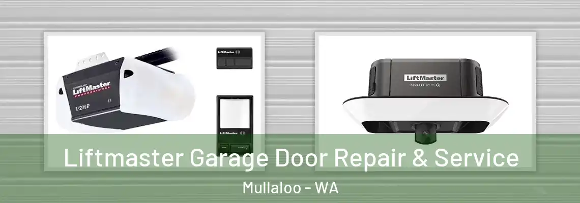 Liftmaster Garage Door Repair & Service Mullaloo - WA