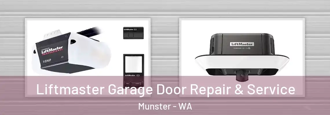 Liftmaster Garage Door Repair & Service Munster - WA