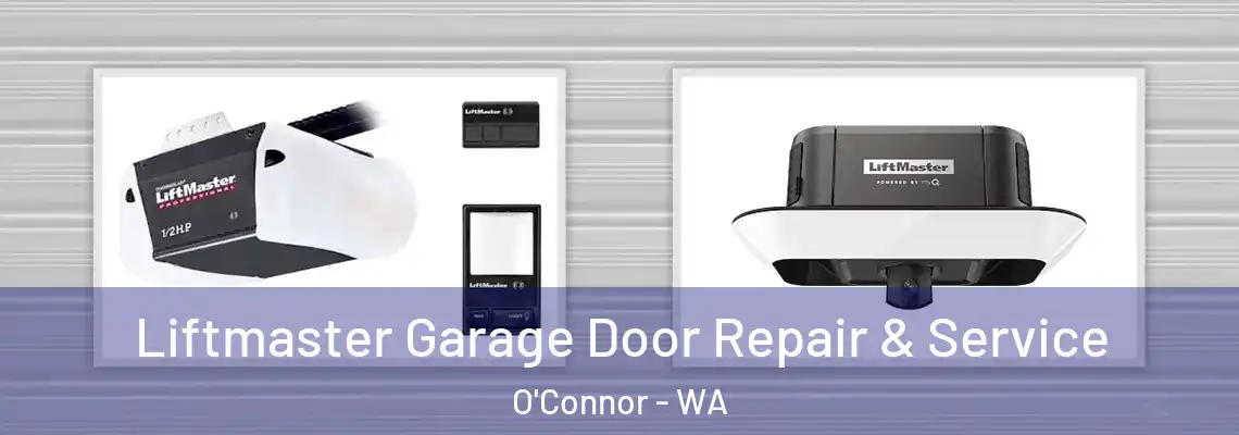 Liftmaster Garage Door Repair & Service O'Connor - WA