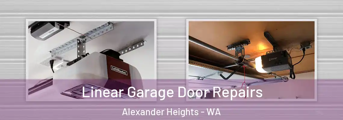 Linear Garage Door Repairs Alexander Heights - WA