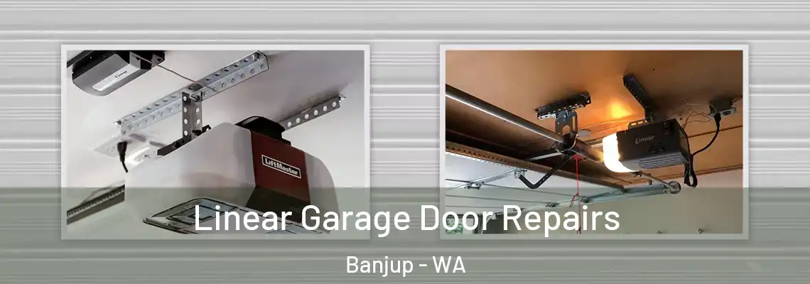 Linear Garage Door Repairs Banjup - WA