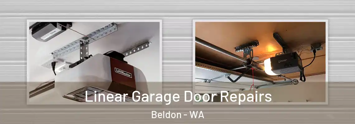  Linear Garage Door Repairs Beldon - WA
