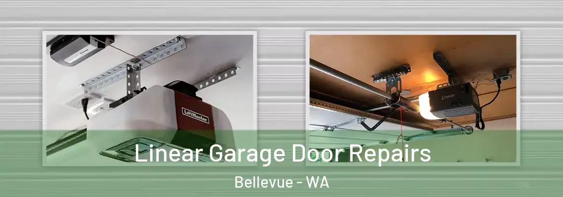  Linear Garage Door Repairs Bellevue - WA