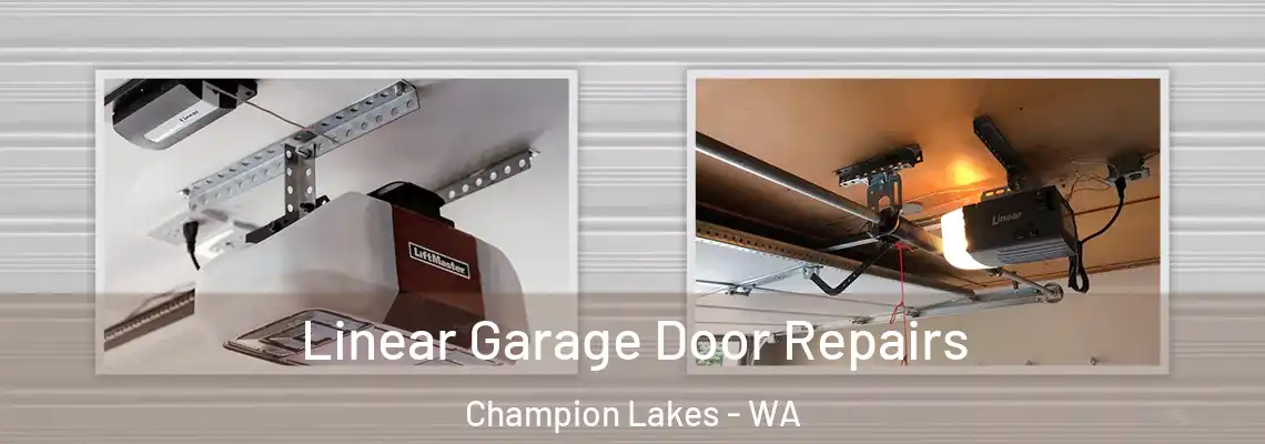 Linear Garage Door Repairs Champion Lakes - WA