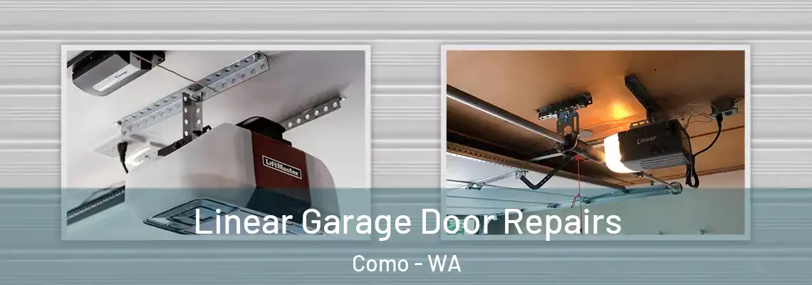Linear Garage Door Repairs Como - WA