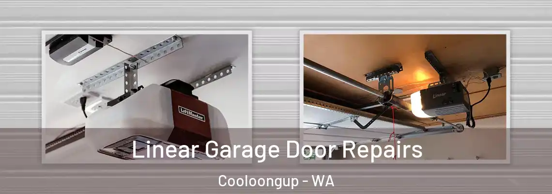 Linear Garage Door Repairs Cooloongup - WA