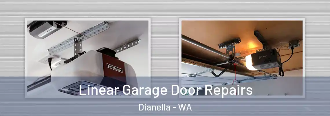 Linear Garage Door Repairs Dianella - WA