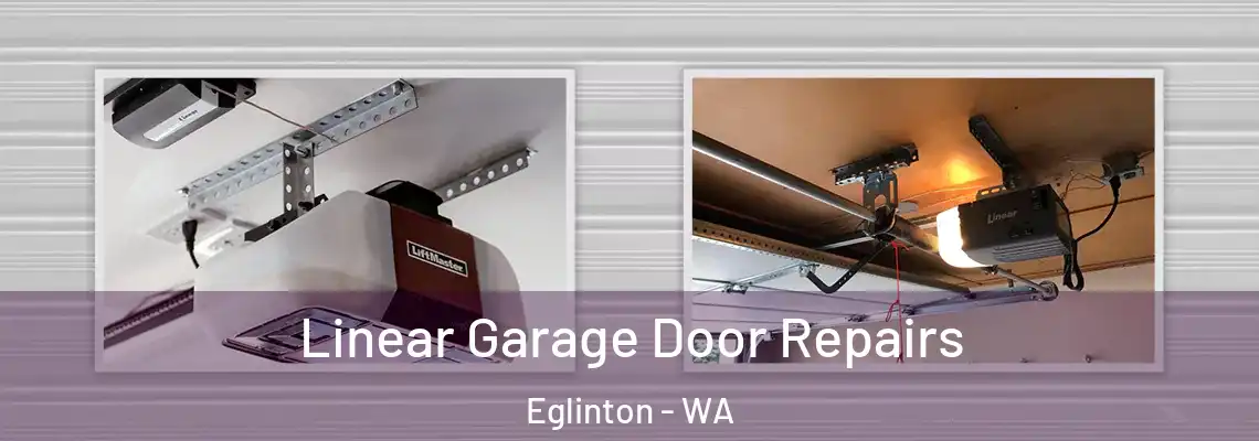 Linear Garage Door Repairs Eglinton - WA