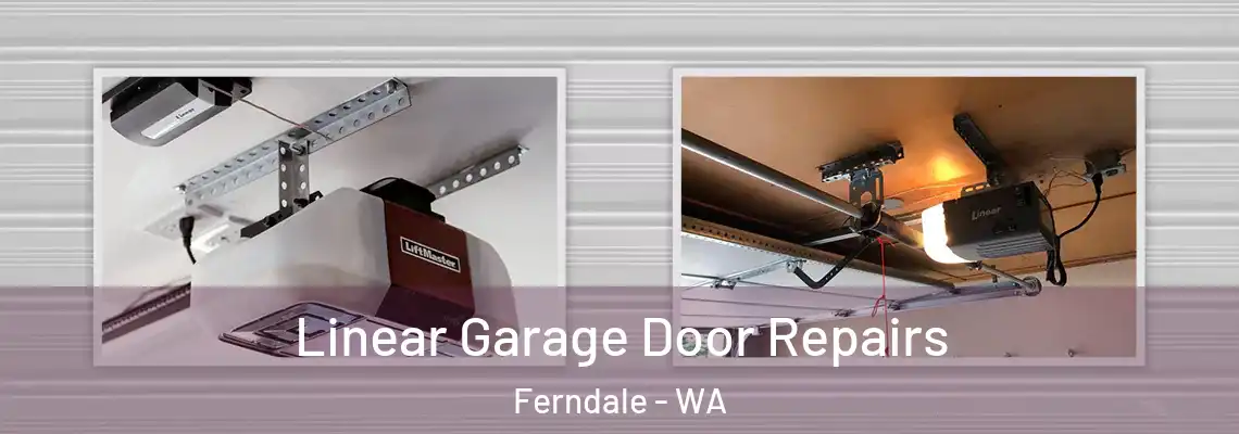 Linear Garage Door Repairs Ferndale - WA