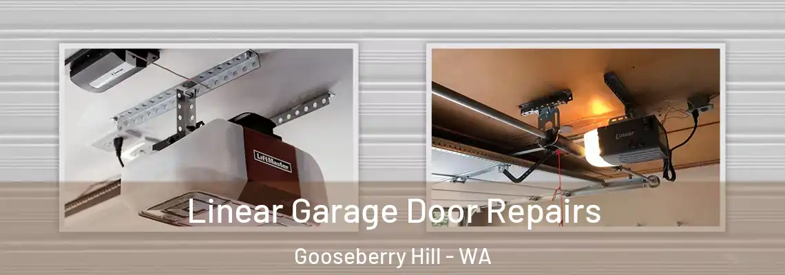 Linear Garage Door Repairs Gooseberry Hill - WA