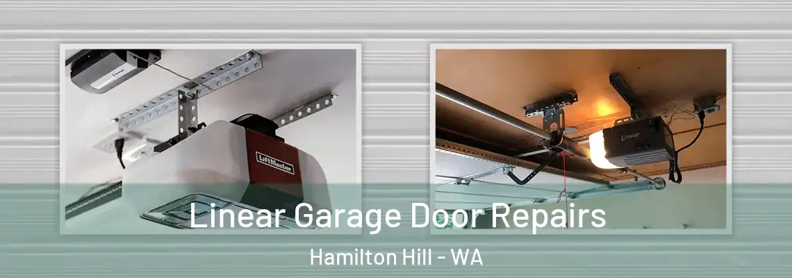 Linear Garage Door Repairs Hamilton Hill - WA