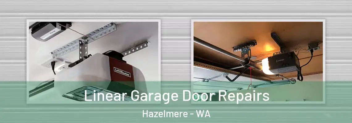 Linear Garage Door Repairs Hazelmere - WA