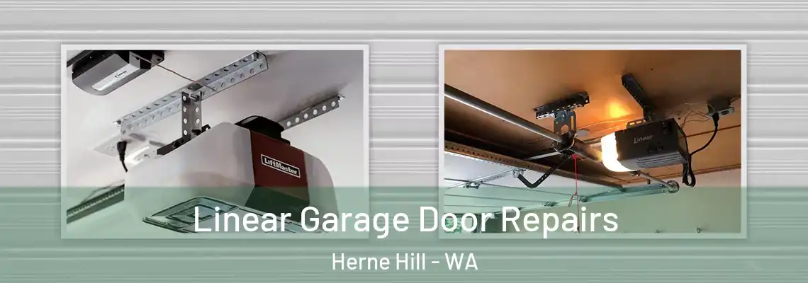 Linear Garage Door Repairs Herne Hill - WA