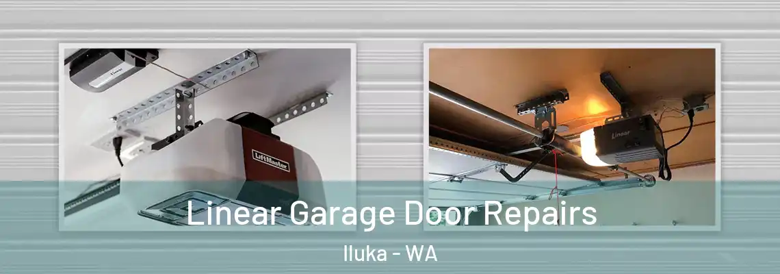 Linear Garage Door Repairs Iluka - WA