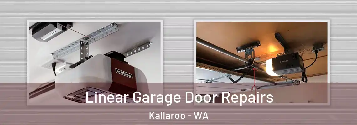 Linear Garage Door Repairs Kallaroo - WA