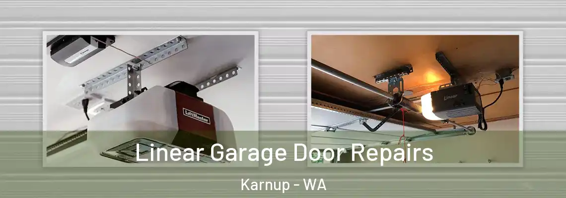 Linear Garage Door Repairs Karnup - WA
