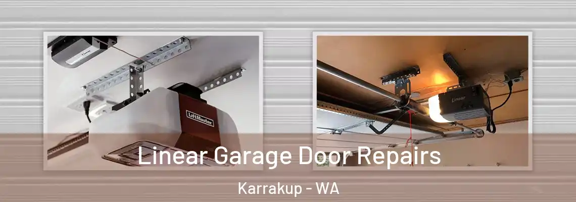 Linear Garage Door Repairs Karrakup - WA