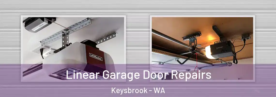 Linear Garage Door Repairs Keysbrook - WA