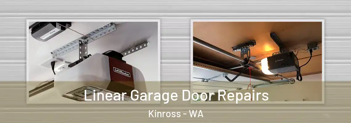 Linear Garage Door Repairs Kinross - WA