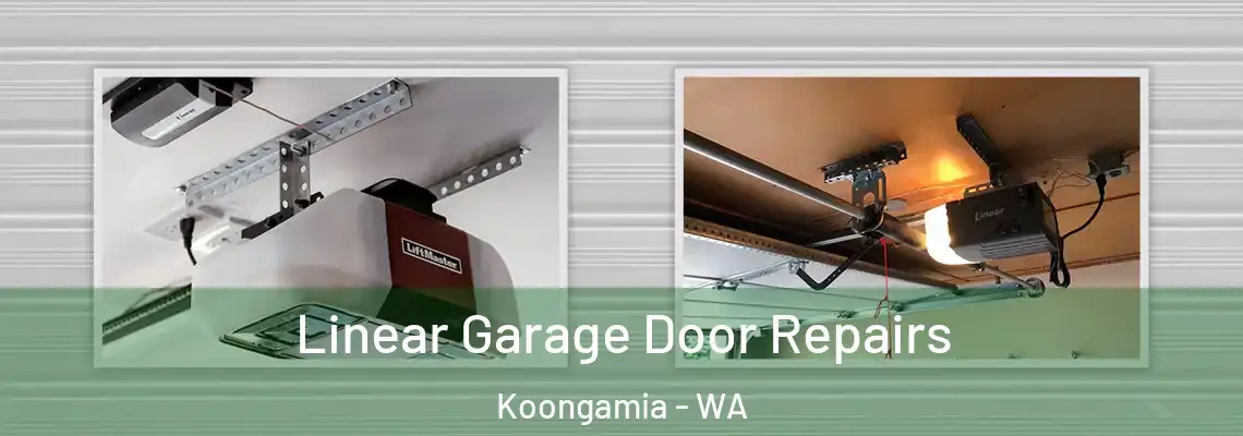 Linear Garage Door Repairs Koongamia - WA