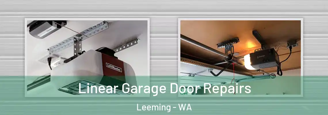Linear Garage Door Repairs Leeming - WA