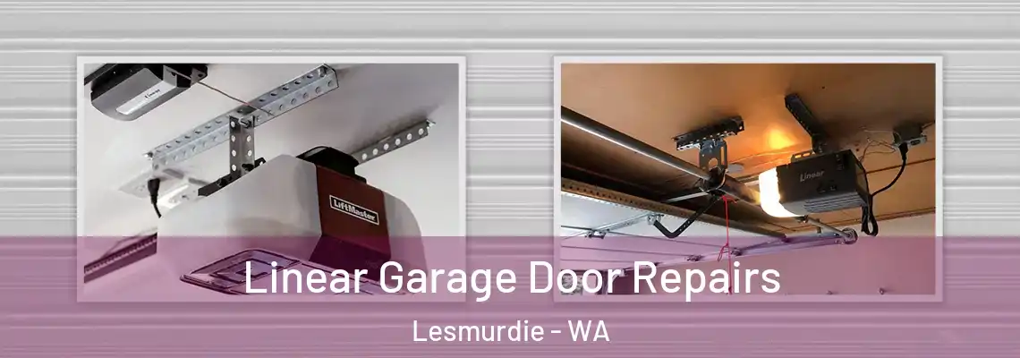 Linear Garage Door Repairs Lesmurdie - WA