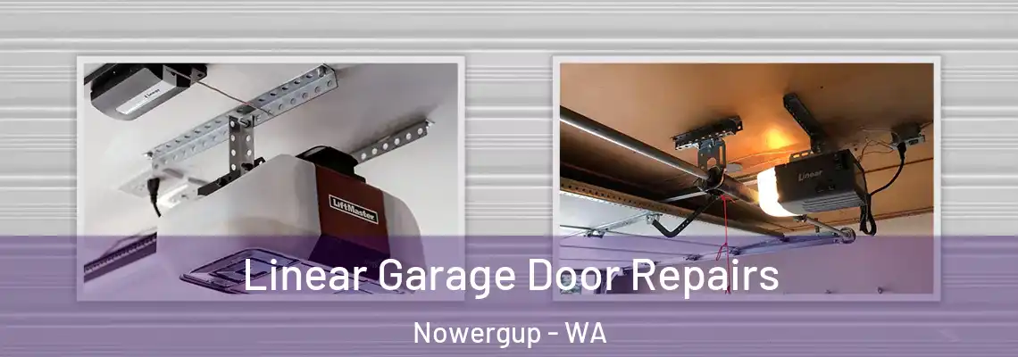  Linear Garage Door Repairs Nowergup - WA