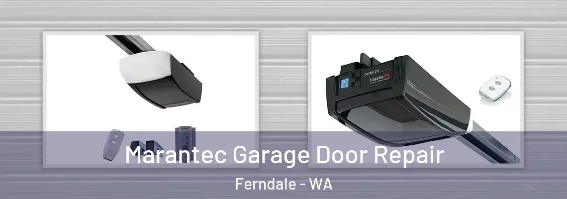  Marantec Garage Door Repair Ferndale - WA